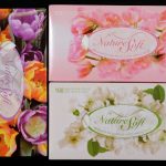 Naturesoft Facial Tissues